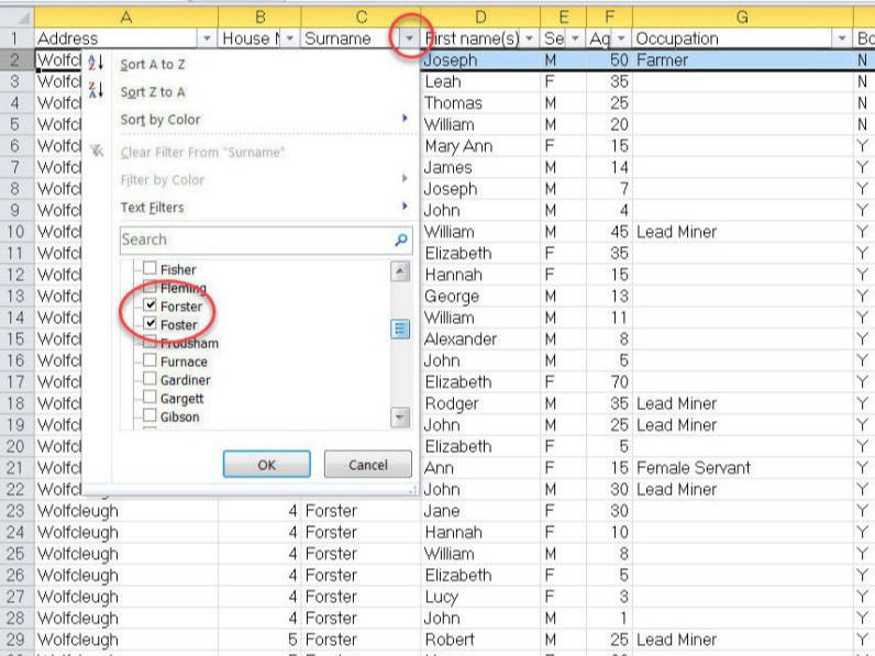 Family History Census Results FIlter