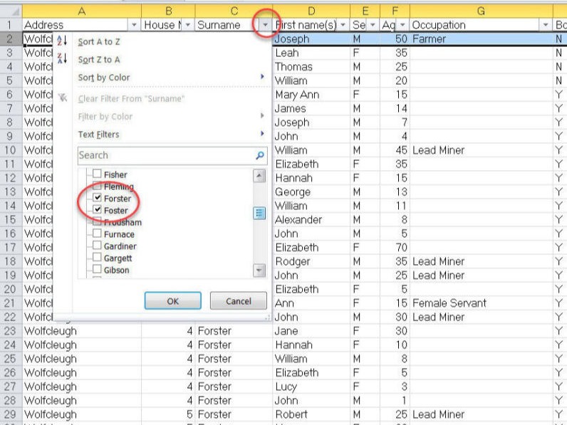 Family History Census Results FIlter