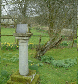 John Wesley preached under the thorn tree